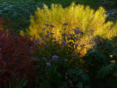 Rockelman's Landscaping